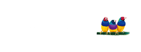 ViewSonic Store