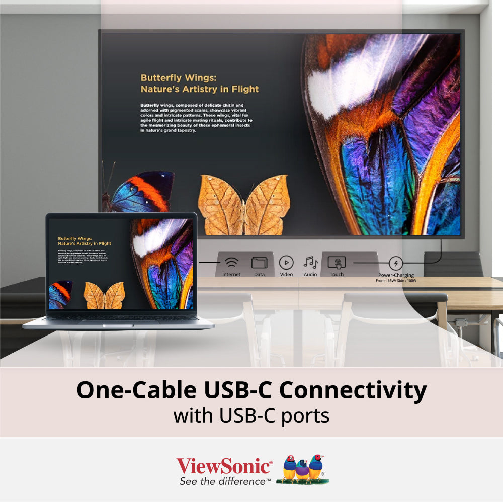 ViewSonic 55