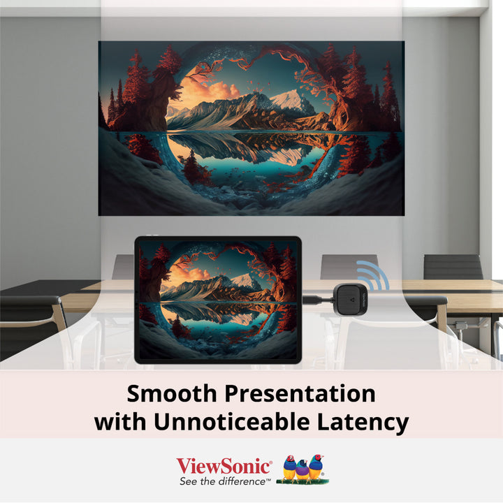 ViewSonic ViewShare WPD-900 Wireless Screen Casting Kit