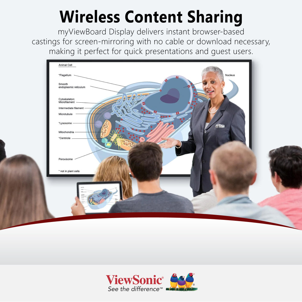 ViewSonic CDE8630 86" 4K Presentation Display